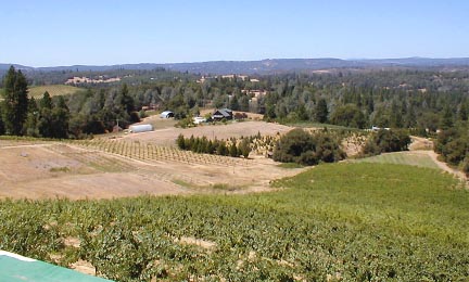 Fitzpatrick Winery View